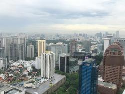 The Orchard Residences (D9), Apartment #130705552